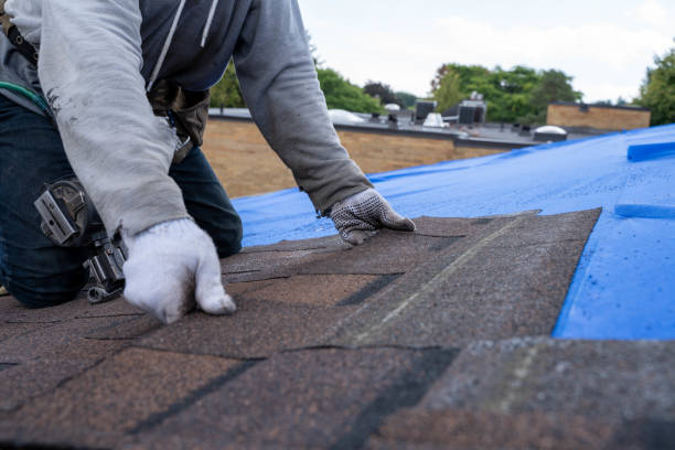 Best Metal Roofing Contractor  in Milton, LA
