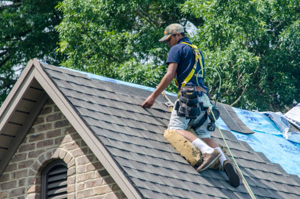 Professional Roofing Contractor in Milton, LA